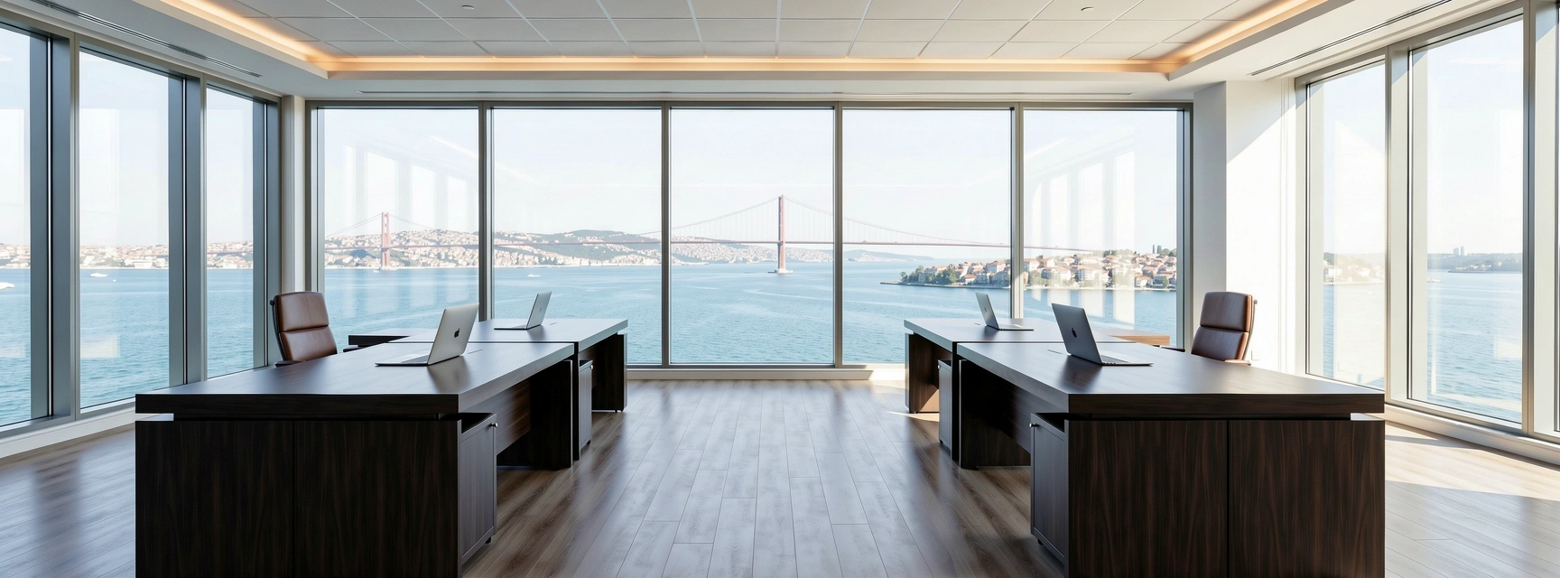 Strategic business environment in Istanbul